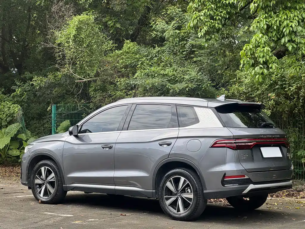 BYD Pro New Energy — миниатюра 4
