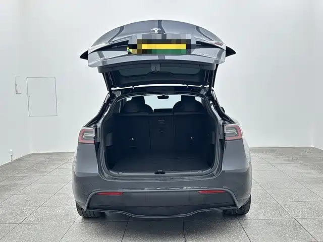 Tesla Model Y — миниатюра 15
