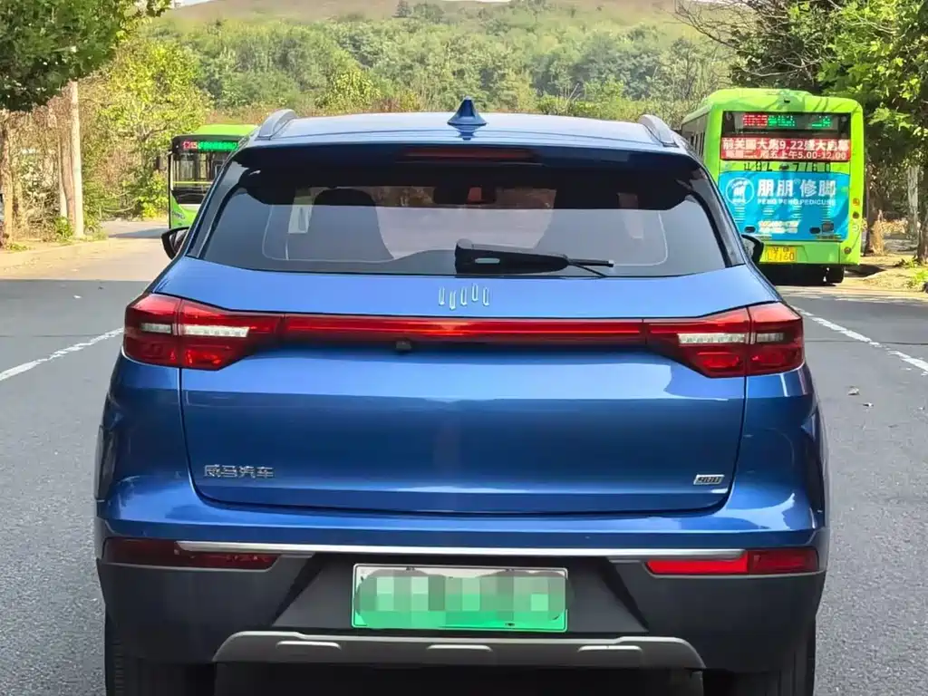 WM Motor EX5 — миниатюра 5