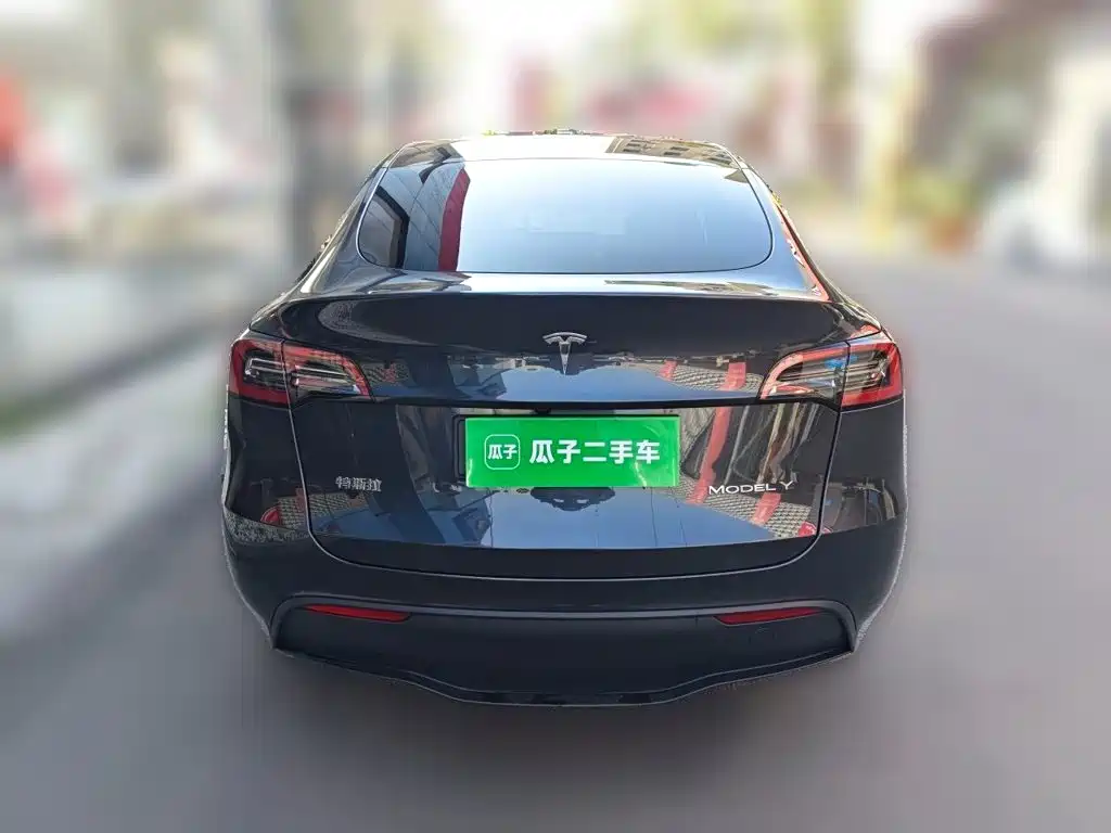 Tesla Model Y — миниатюра 5