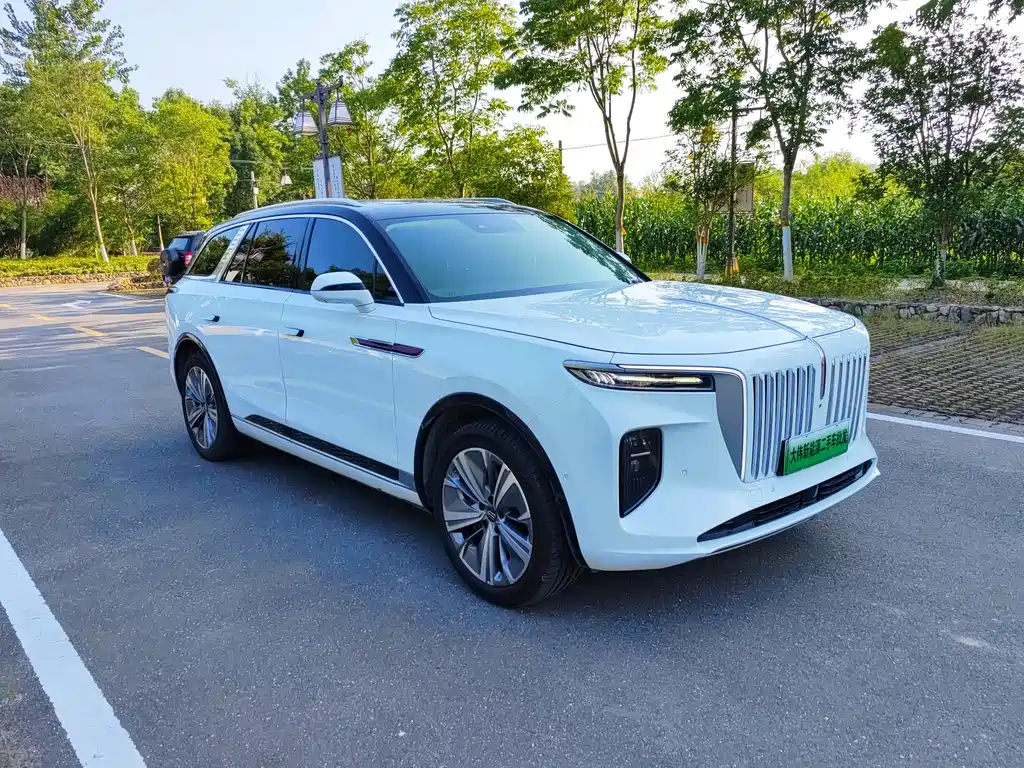Hongqi E-HS9 2021 460km мест