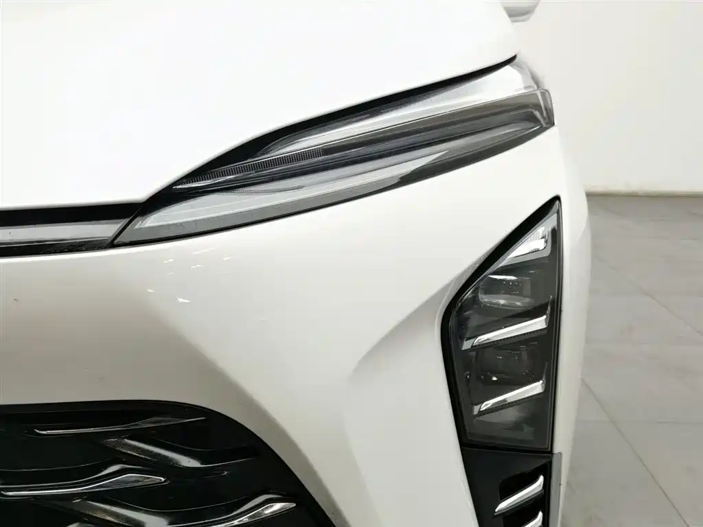 BUICK GL8 NEW ENERGY