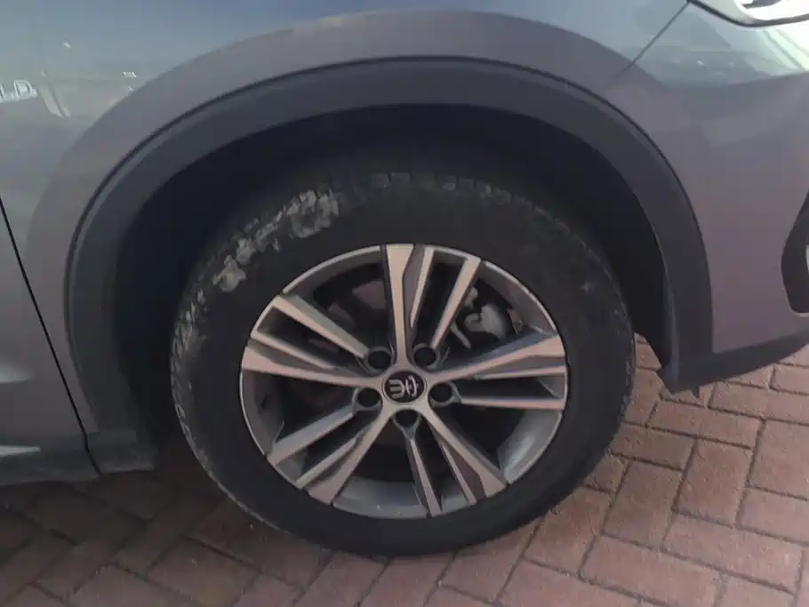 BYD Pro — миниатюра 6
