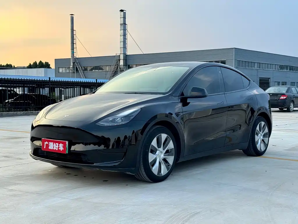 Tesla Model Y — миниатюра 2
