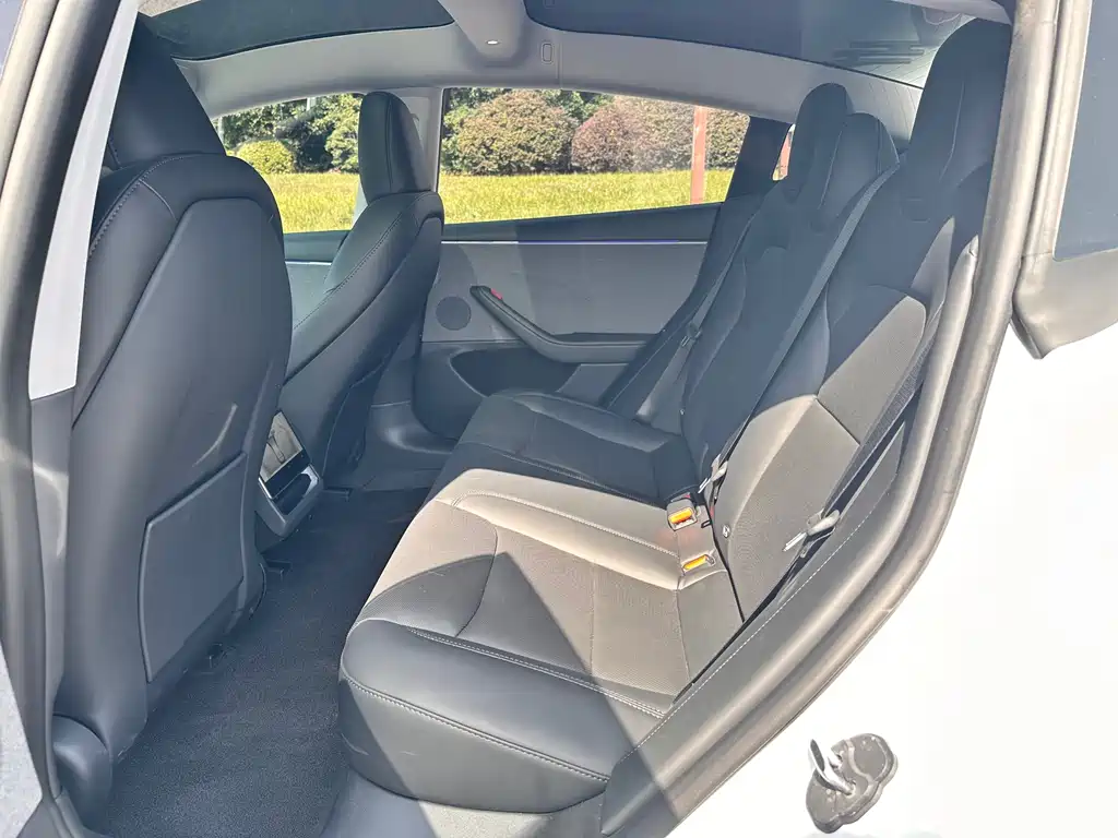 Tesla Model 3 — миниатюра 8