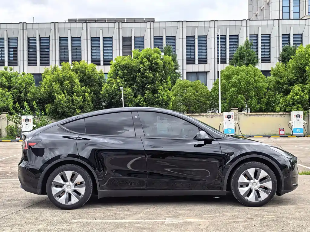 Tesla Model Y — миниатюра 3