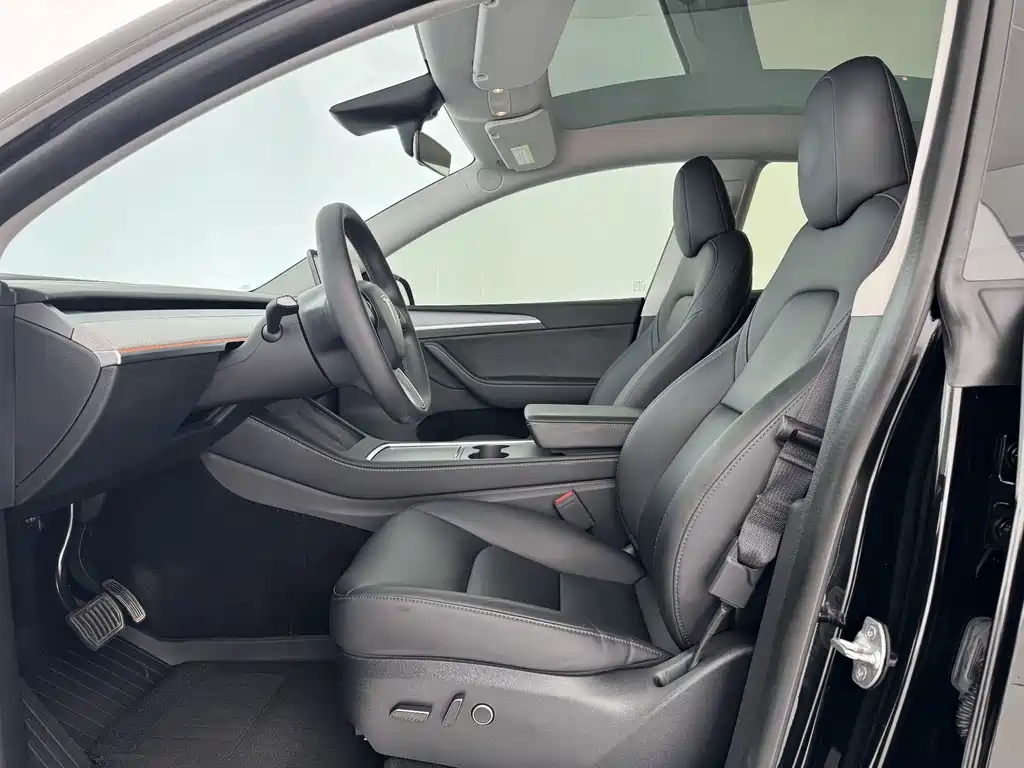 Tesla Model Y — миниатюра 15
