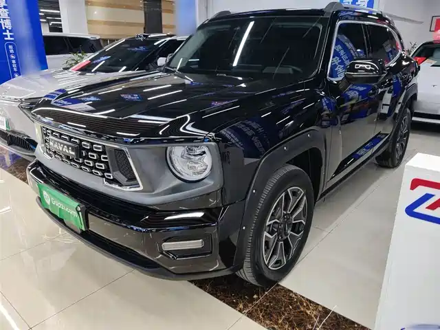HAVAL SECOND GENERATION BIG DOG NEW ENERGY