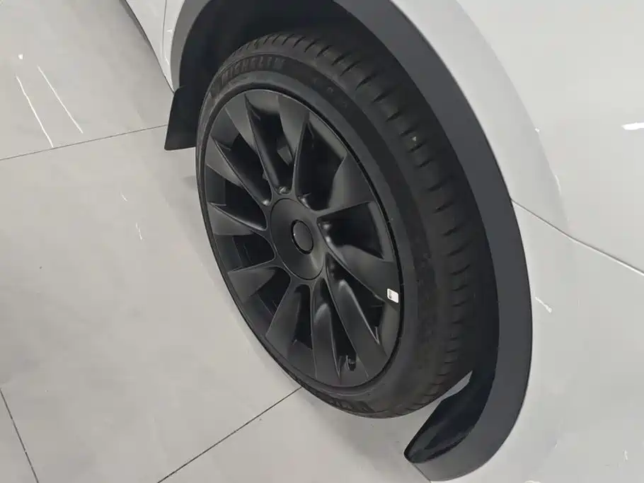 Tesla Model Y — миниатюра 6