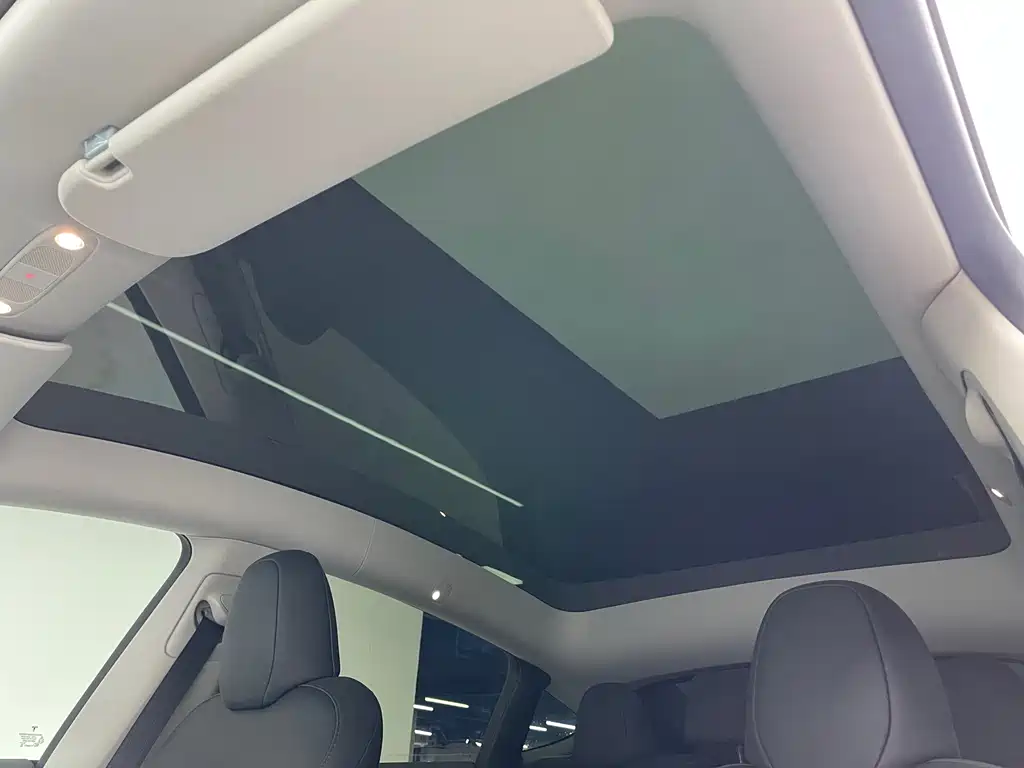 Tesla Model Y — миниатюра 14