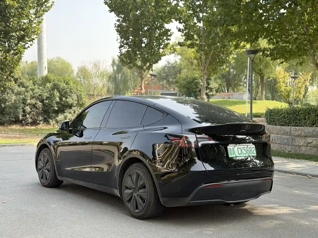 Tesla Model Y — миниатюра 6