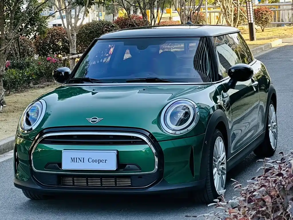 Mini Mini 2021