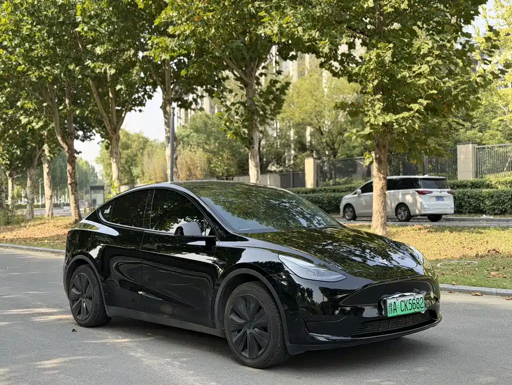 Tesla Model Y — миниатюра 4
