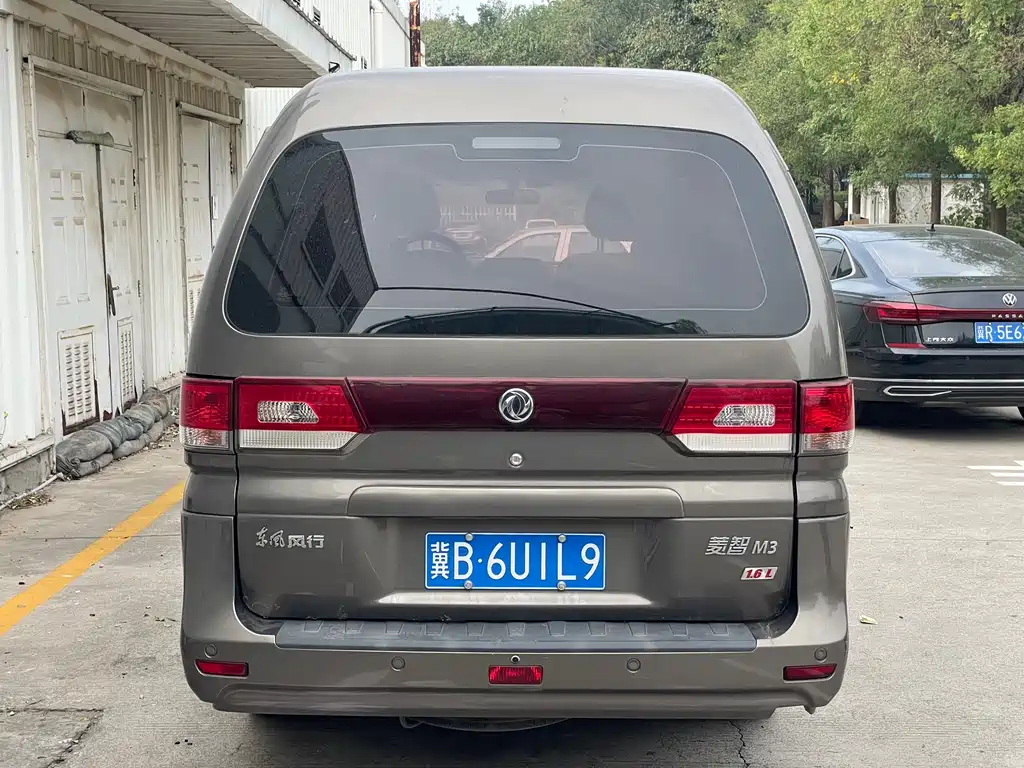 Fengxing Lingzhi — миниатюра 5