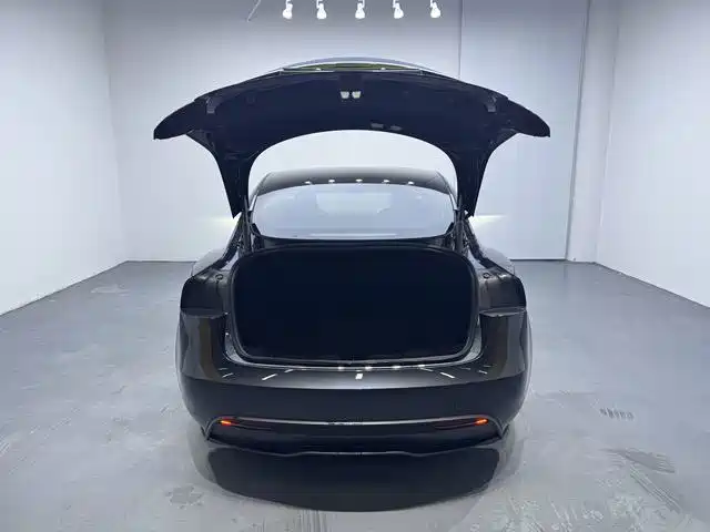 Tesla Model 3 — миниатюра 12