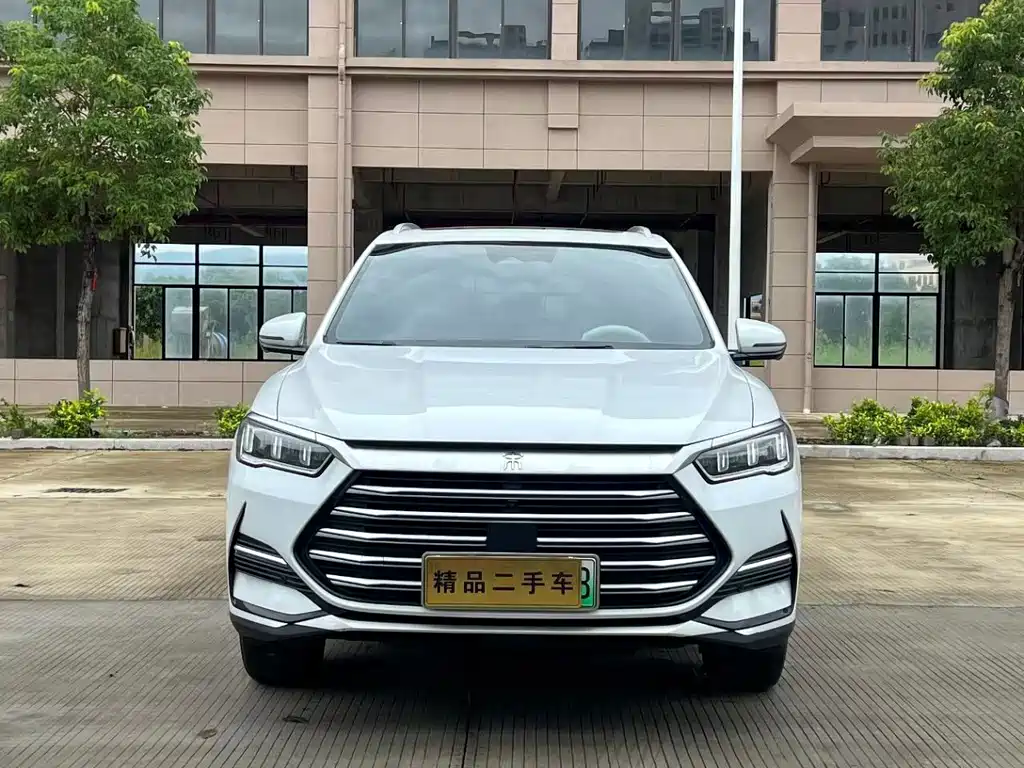 BYD Pro New Energy — миниатюра 2