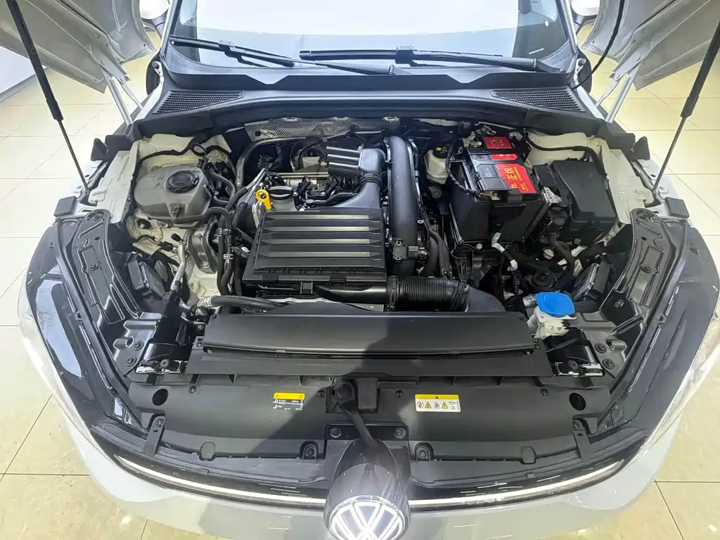 VOLKSWAGEN LINGDU