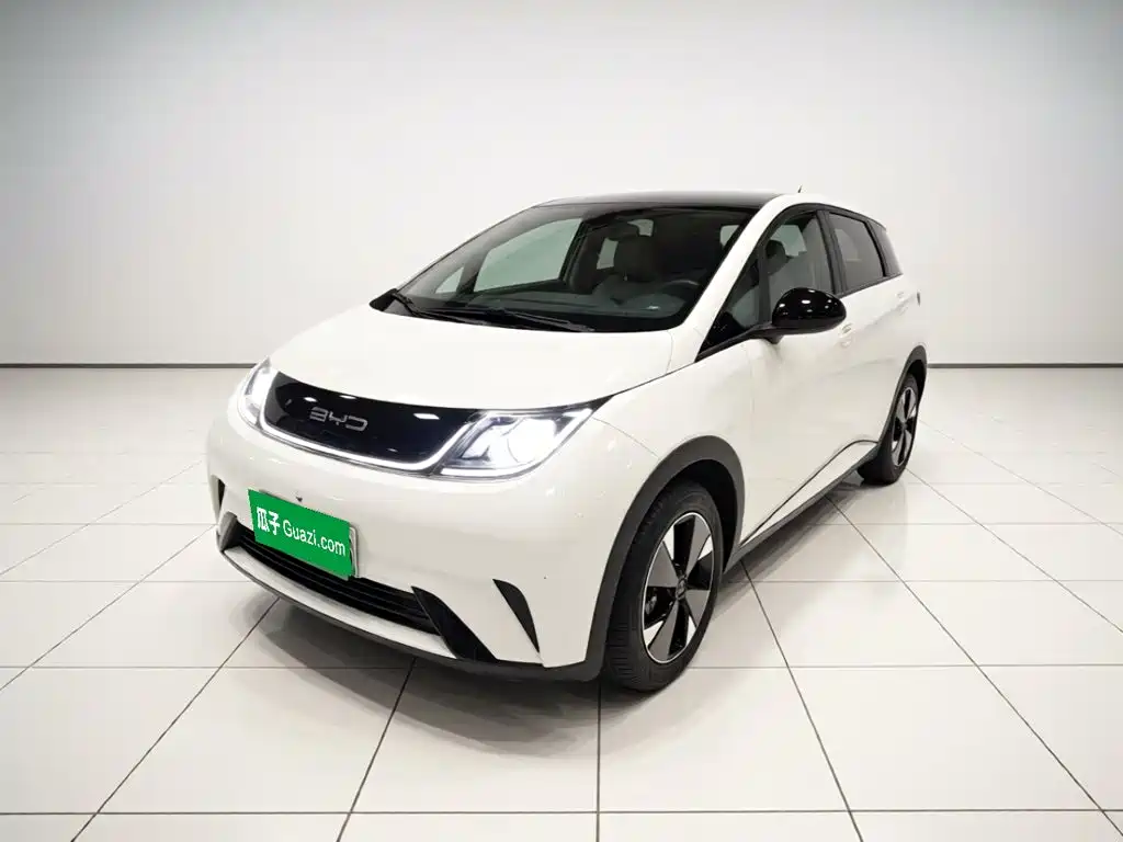 BYD Dolphin — миниатюра 2