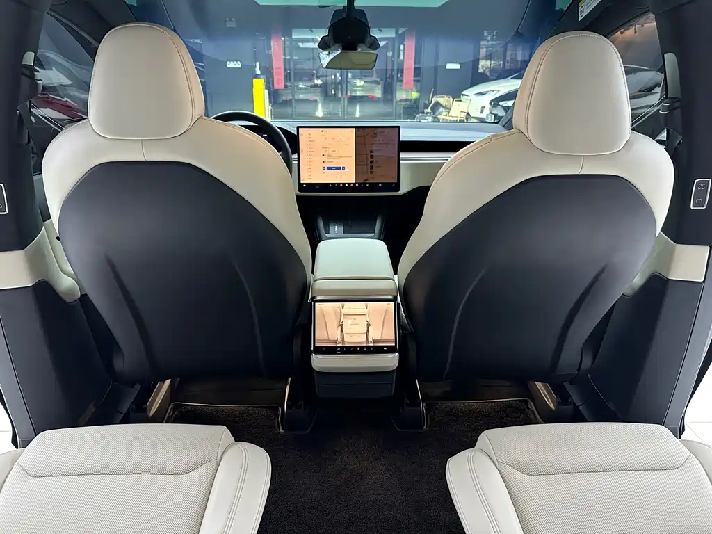 Tesla Model X — миниатюра 10