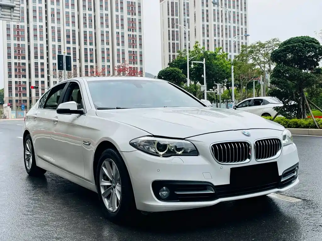 BMW 5 Series — миниатюра 3