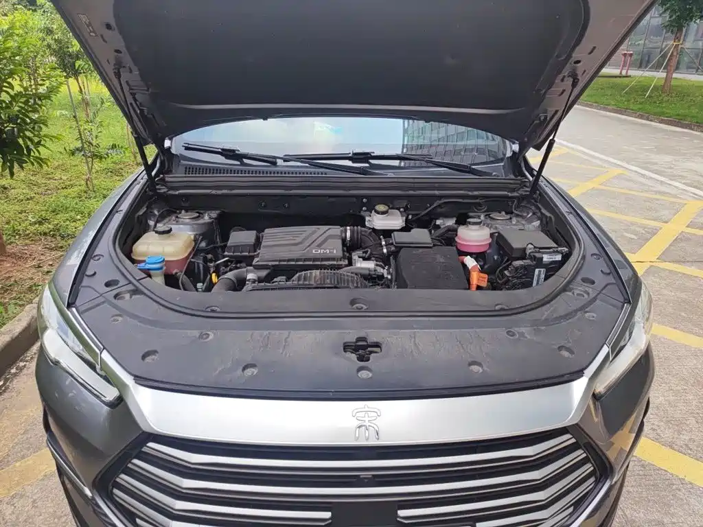 BYD Pro New Energy — миниатюра 16