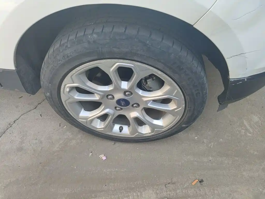 Ford Ecosport — миниатюра 24