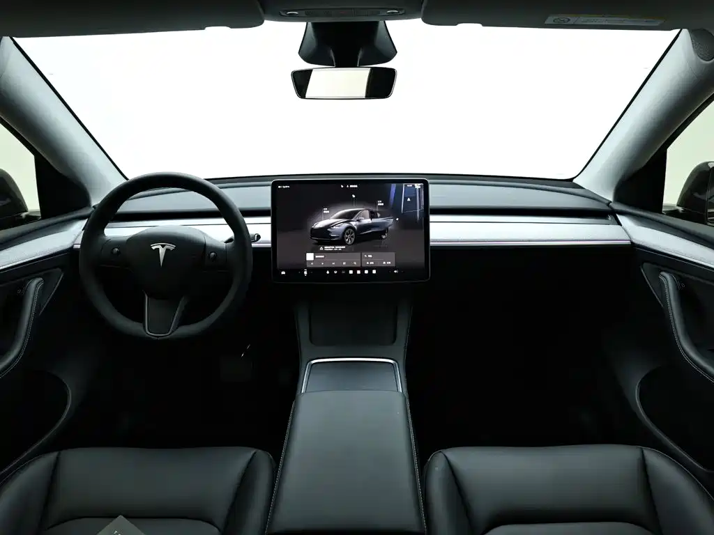 Tesla Model Y — миниатюра 13