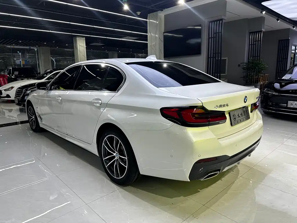BMW 5 SERIES