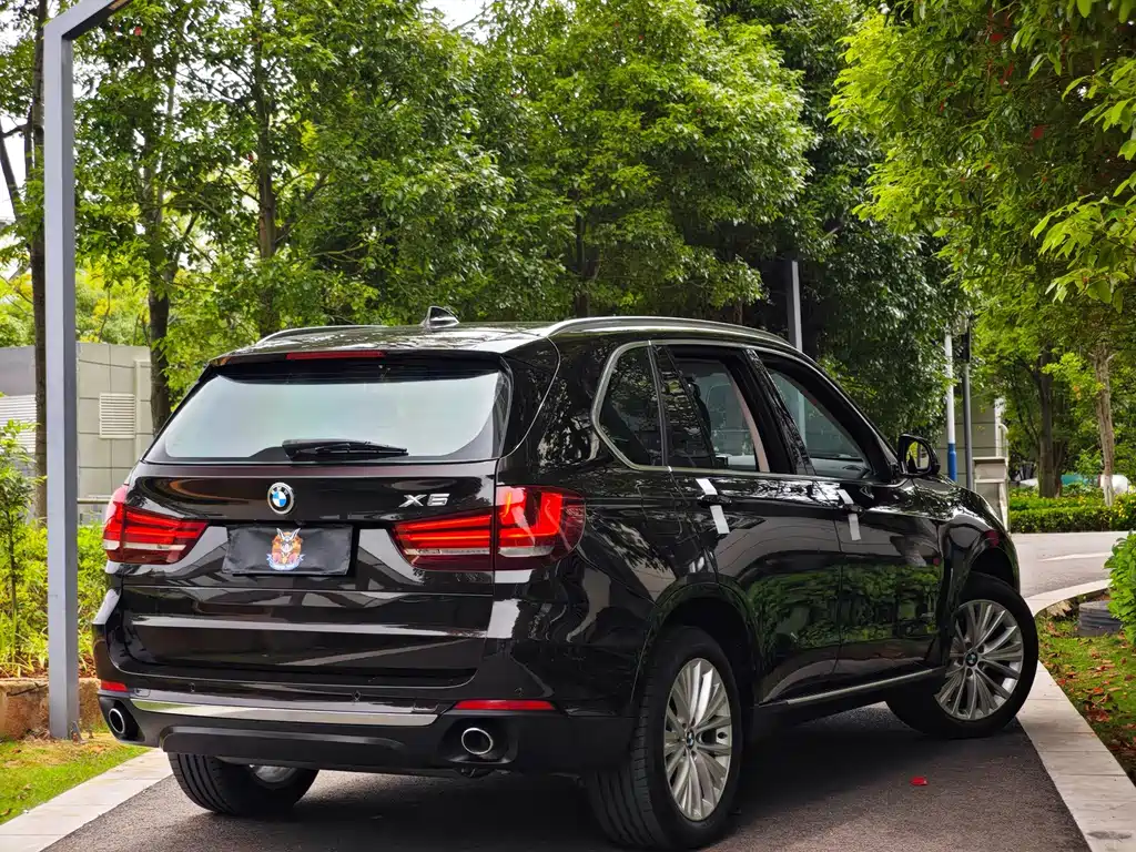 BMW X5 (Import) — миниатюра 4