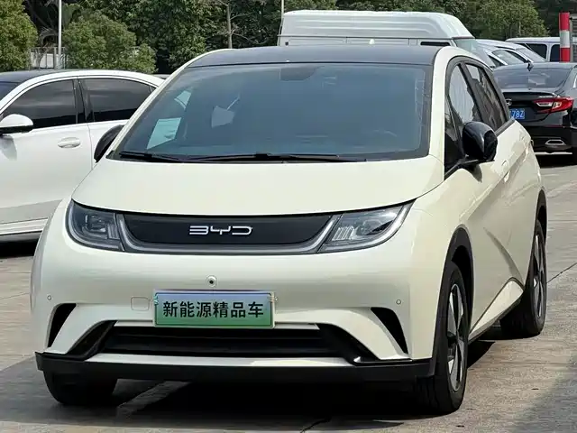 BYD Dolphin
