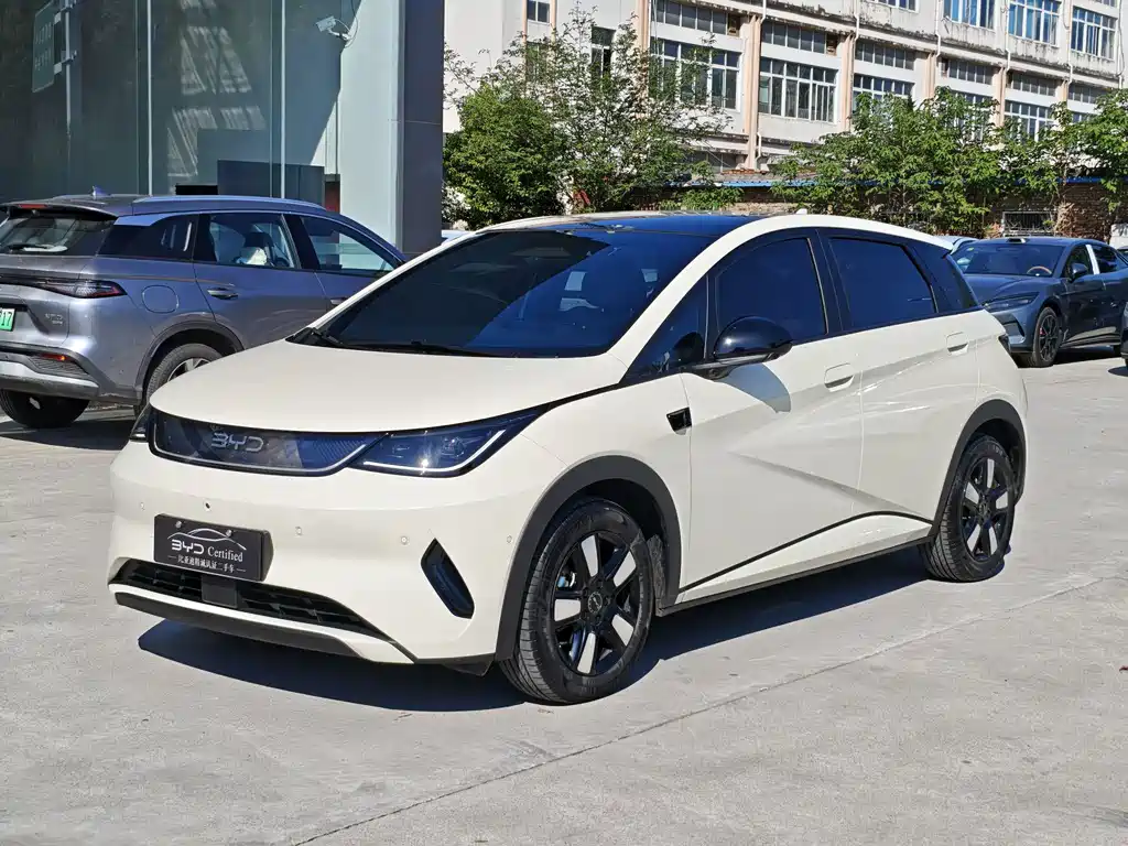 Byd Dolphin 2025