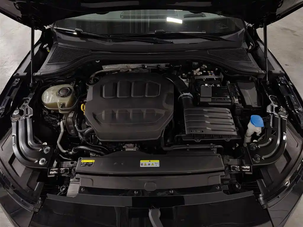 Volkswagen Magotan 2024 380TSI DSG Luxury