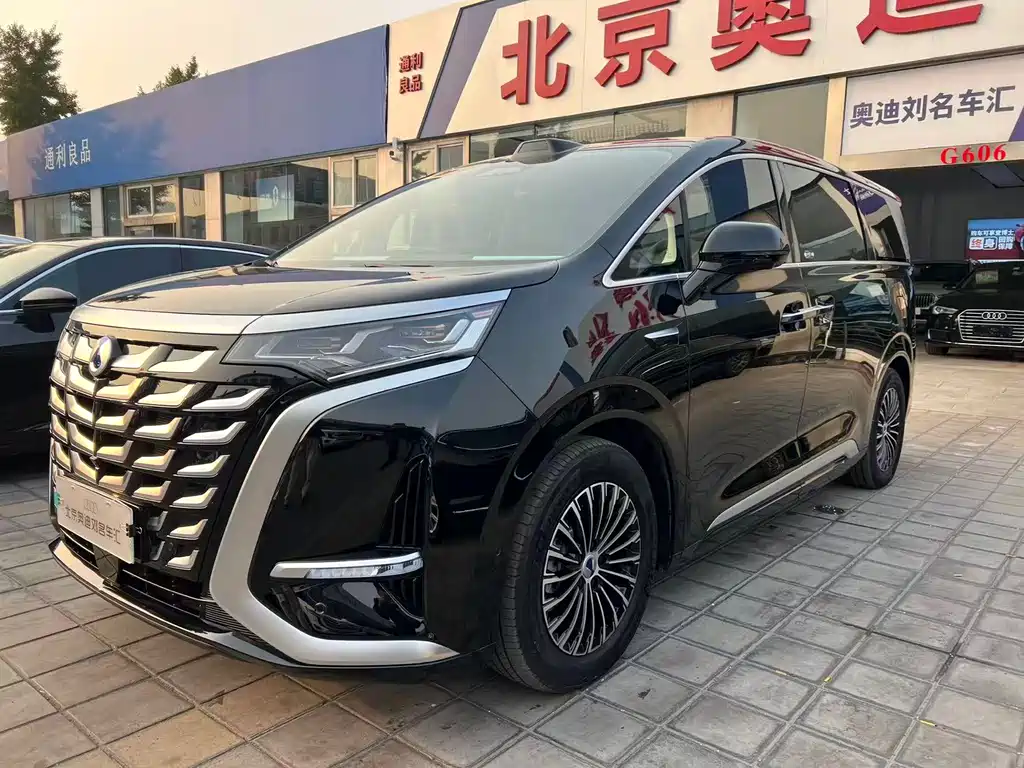 Denza Denza D9 — миниатюра 2