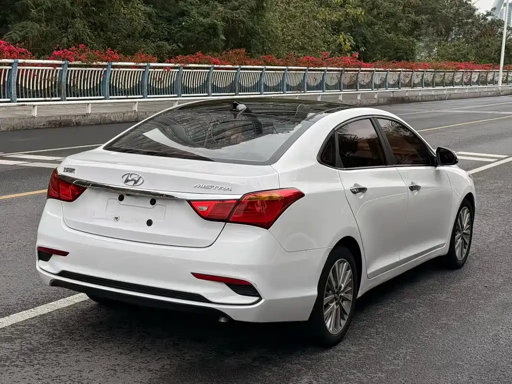 HYUNDAI NAME PICTURE