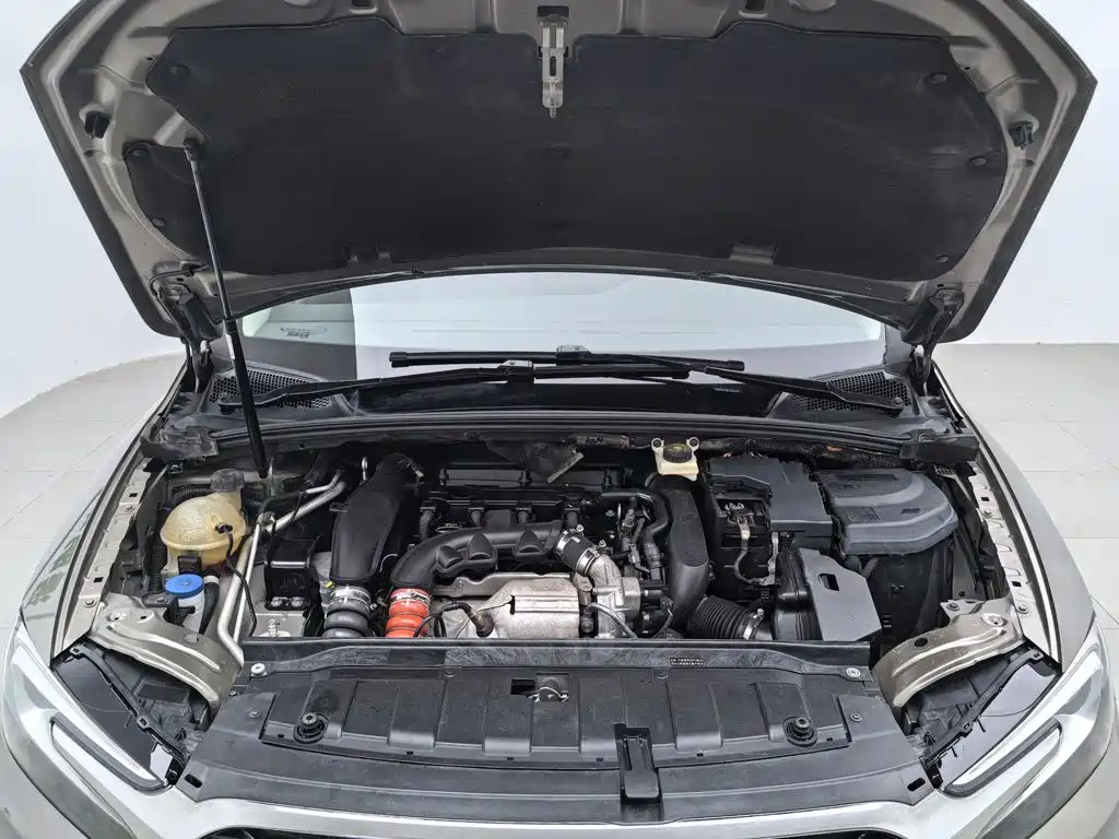 DS DS 5LS — миниатюра 6