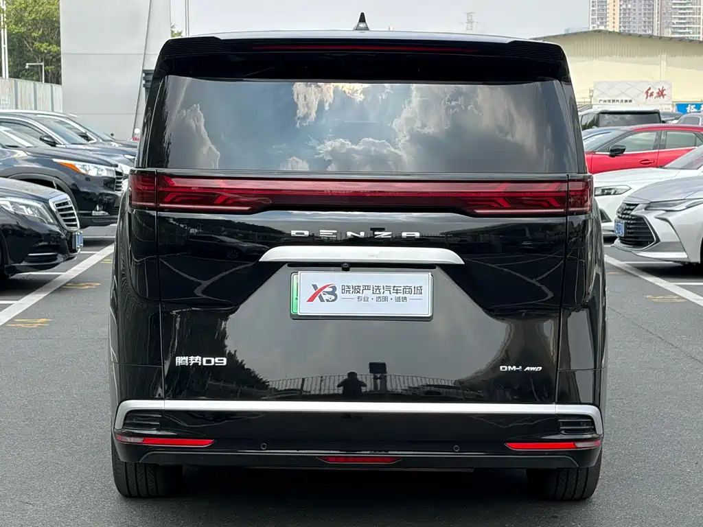 Denza Denza D9 — миниатюра 5