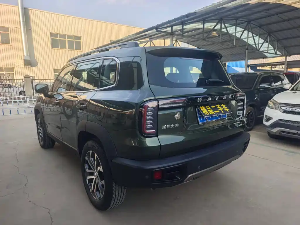 HAVAL BIG DOG