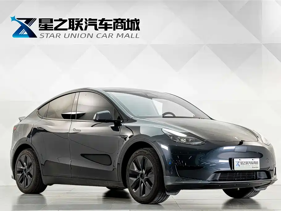Tesla Model Y — миниатюра 5