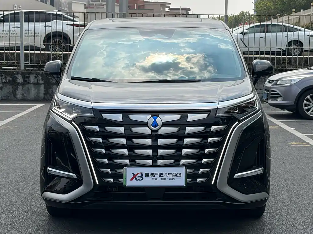 Denza Denza D9 — миниатюра 2