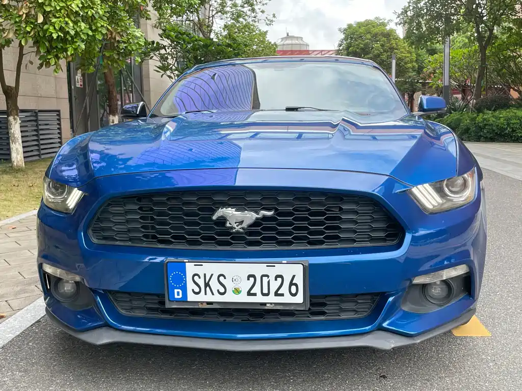 Ford Mustang — миниатюра 2