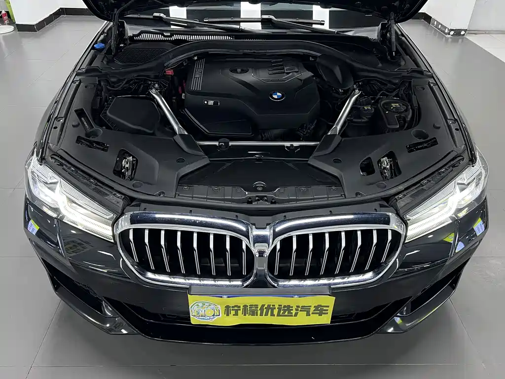 BMW 5 Series (Import) — миниатюра 9