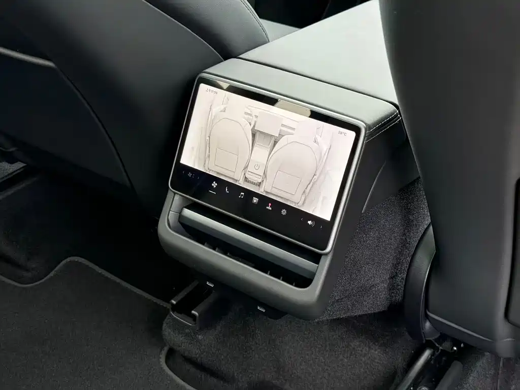 Tesla Model Y — миниатюра 15