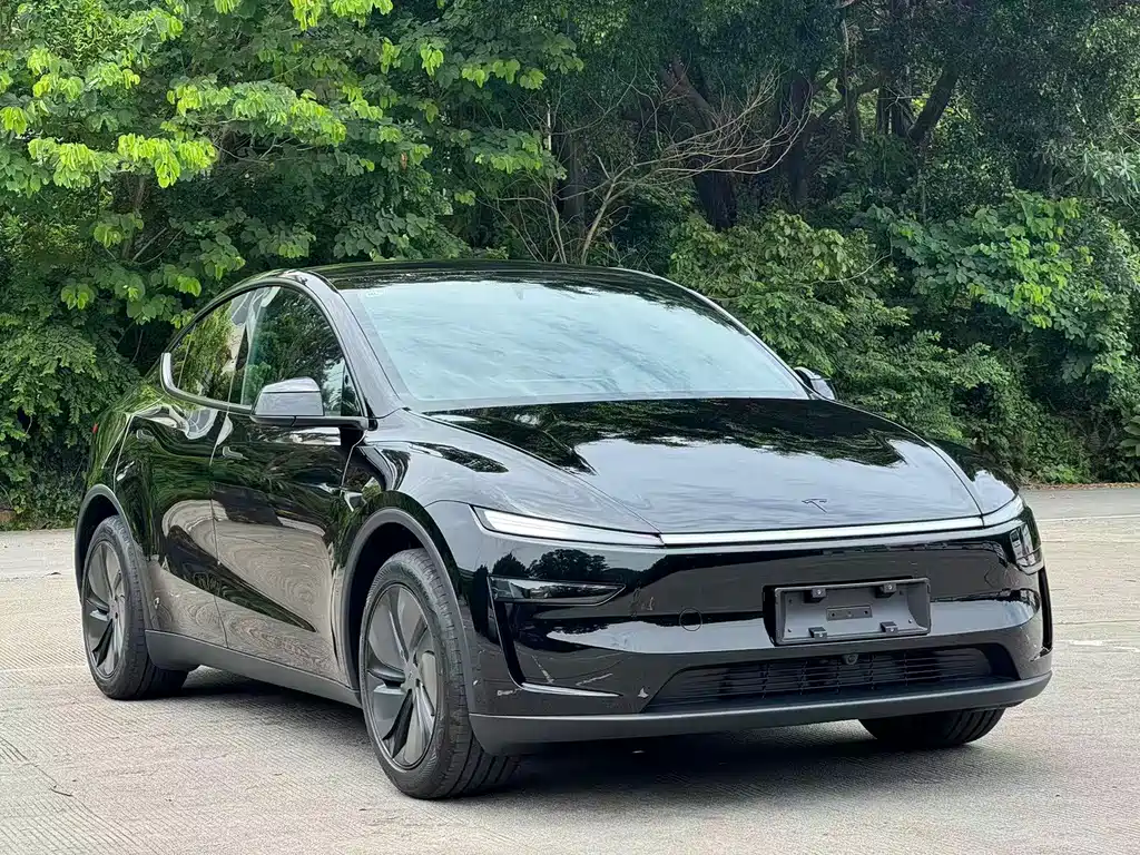 Tesla Model Y — миниатюра 3