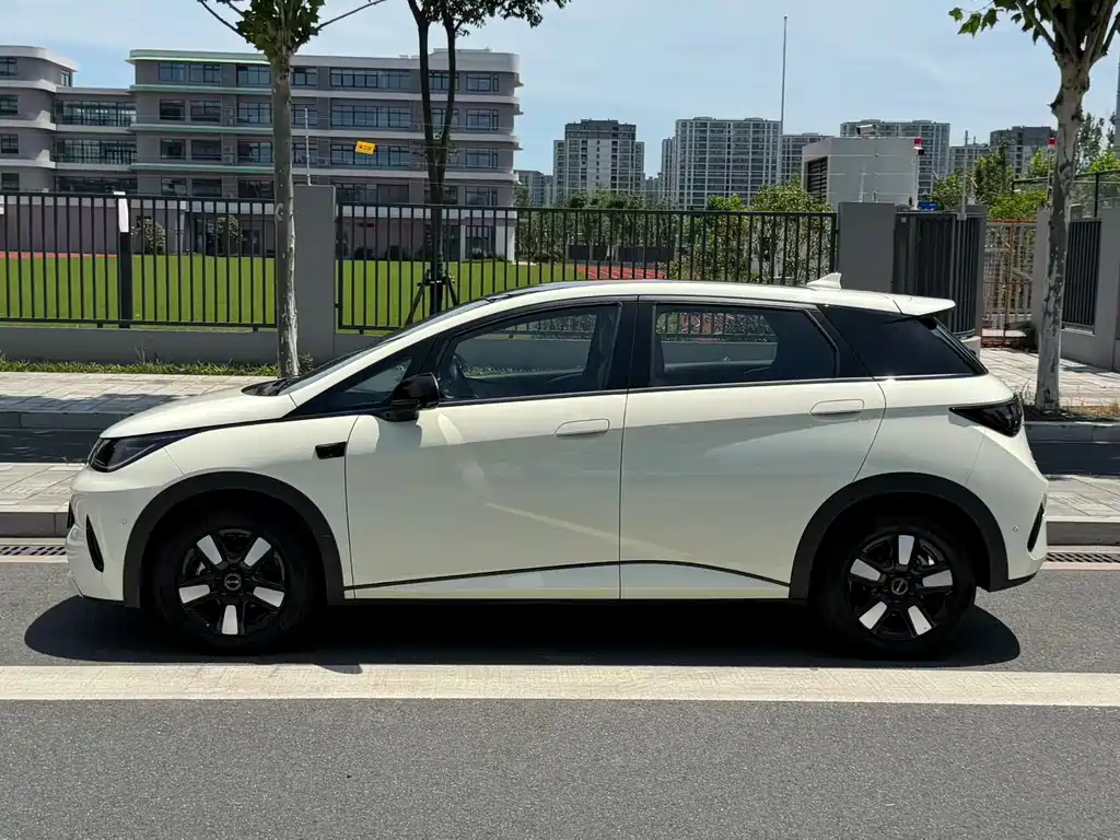 BYD Dolphin 2025 Smart Drive 410km Fashion