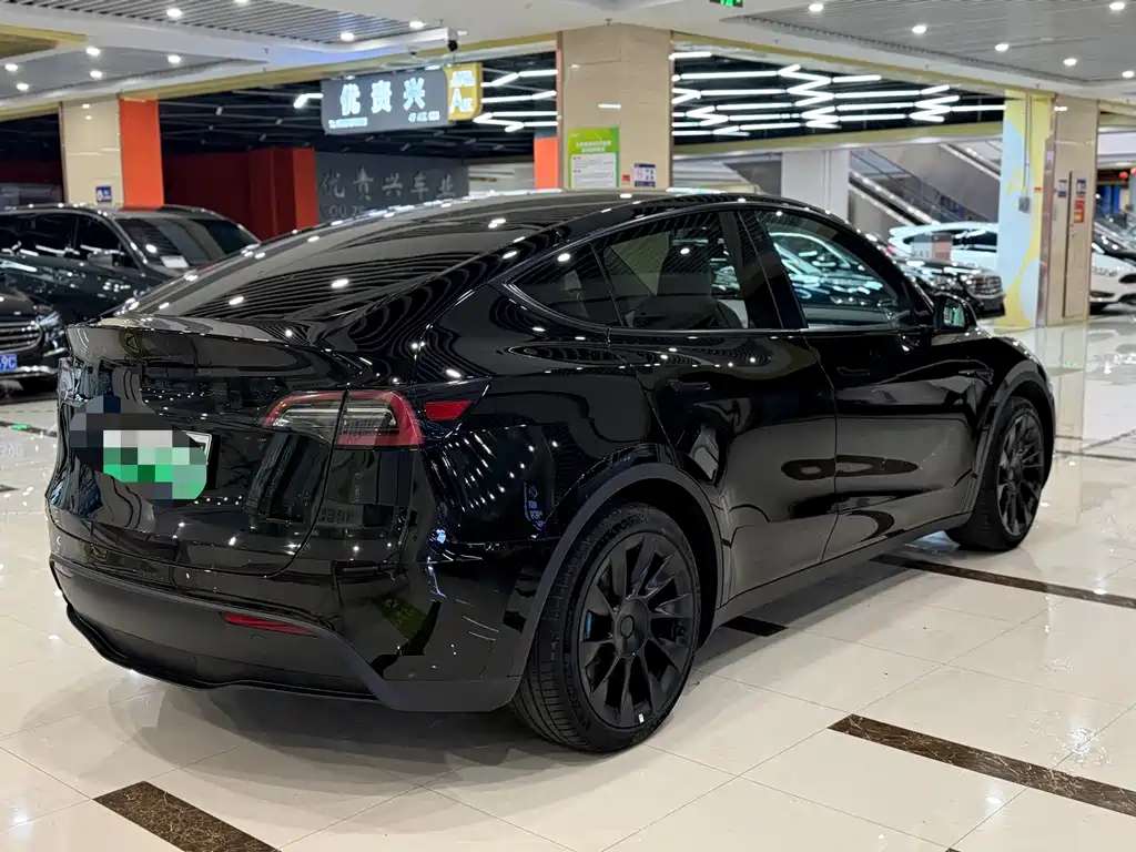 Tesla Model Y — миниатюра 7