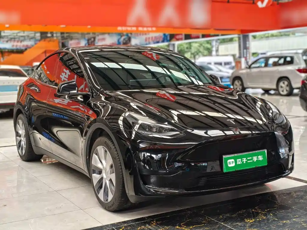 Tesla Model Y — миниатюра 4