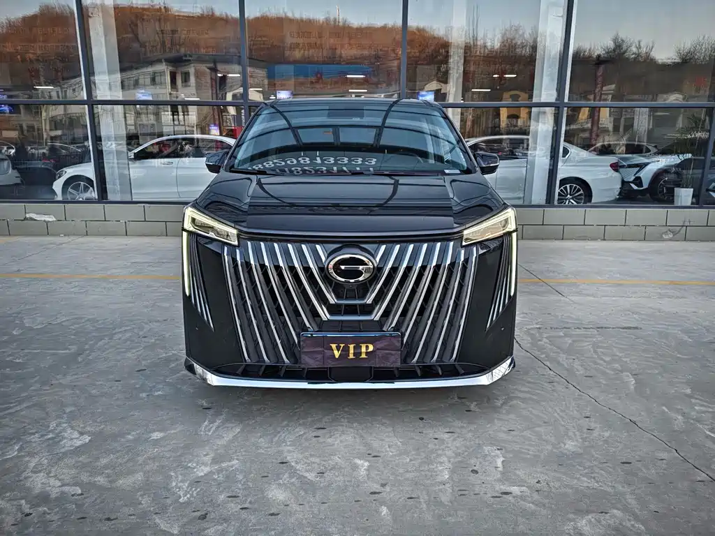 GAC Motor Trumpchi M8 — миниатюра 2