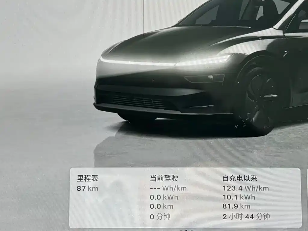 Tesla Model Y — миниатюра 16
