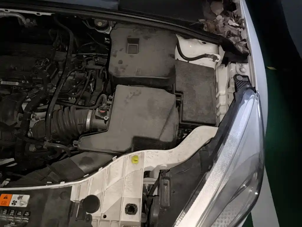 Ford Focus — миниатюра 21