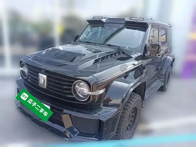 2025 TANK 300